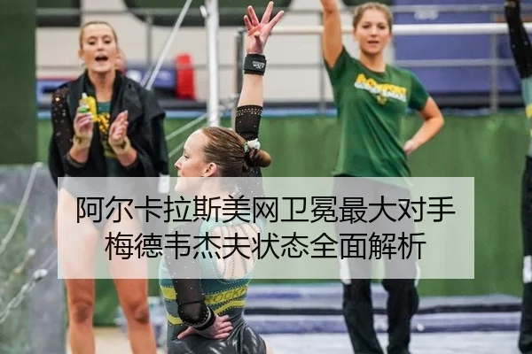 a-er-ka-la-si-mei-wang-wei-mian-zui-da-dui-shou-mei-de-wei-jie-fu-zhuang-tai-quan-mian-jie-xi-3-124.jpg
