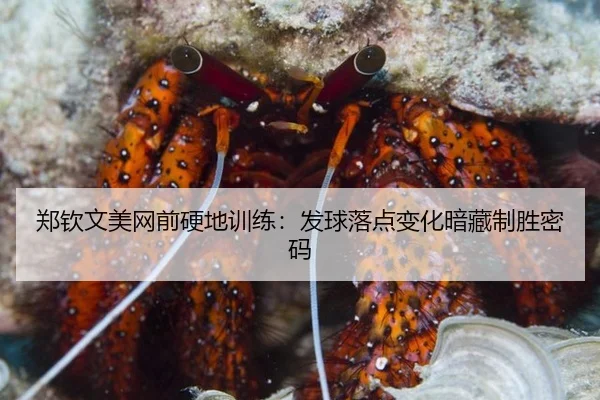 zheng-qin-wen-mei-wang-qian-ying-di-xun-lian-fa-qiu-luo-dian-bian-hua-an-cang-zhi-sheng-mi-ma-3-895.jpg